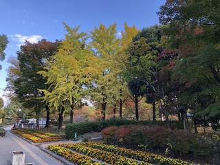 02.JPG