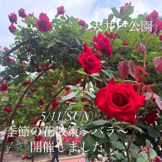 0C30B781-F8D3-4BAD-A41D-E7407ECEED76.jpeg