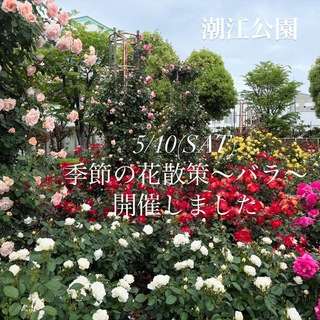 3017B0FF-24AF-4EAE-8B8F-85B79F81DD1B.jpeg