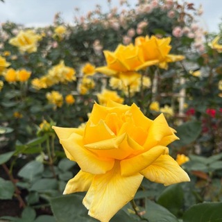30975348-3E5B-4CB6-8374-F52434C4CF07.jpeg