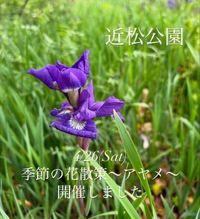 4BCC9639-42D6-4A7D-B540-546C373FF6DF.jpeg