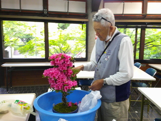 DSCF0010.JPG
