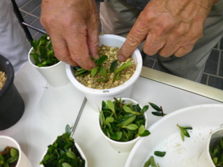 DSCF0015.JPG