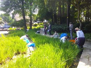 DSCF0017.JPG