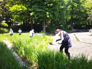DSCF0020.JPG