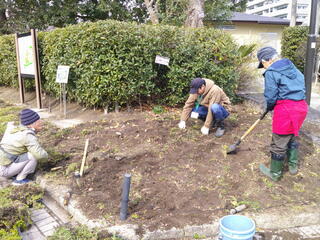 DSCF0022.JPG