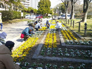 DSCF0040.JPG