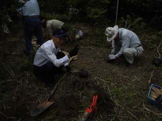 DSCI0089.JPG
