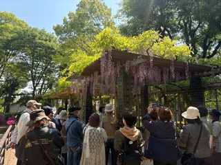 IMG_3307.jpeg