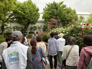 IMG_4390-0f18f.jpeg