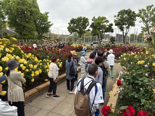 IMG_4396.jpeg