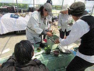 IMG_4737.JPG