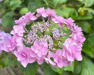 IMG_5720-11bef.jpeg