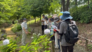 IMG_5747.jpeg