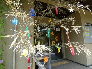 P1030045.JPG