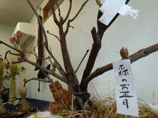 P1390130.JPG